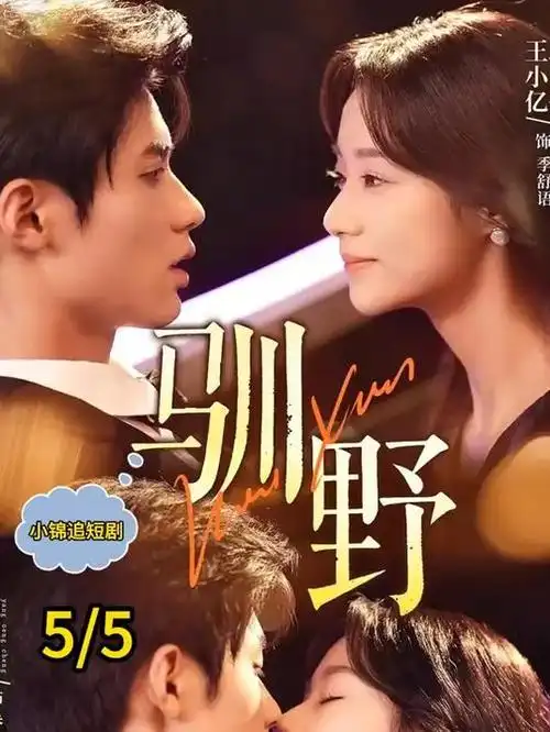 暗涌之城电视剧全集手机免费观看